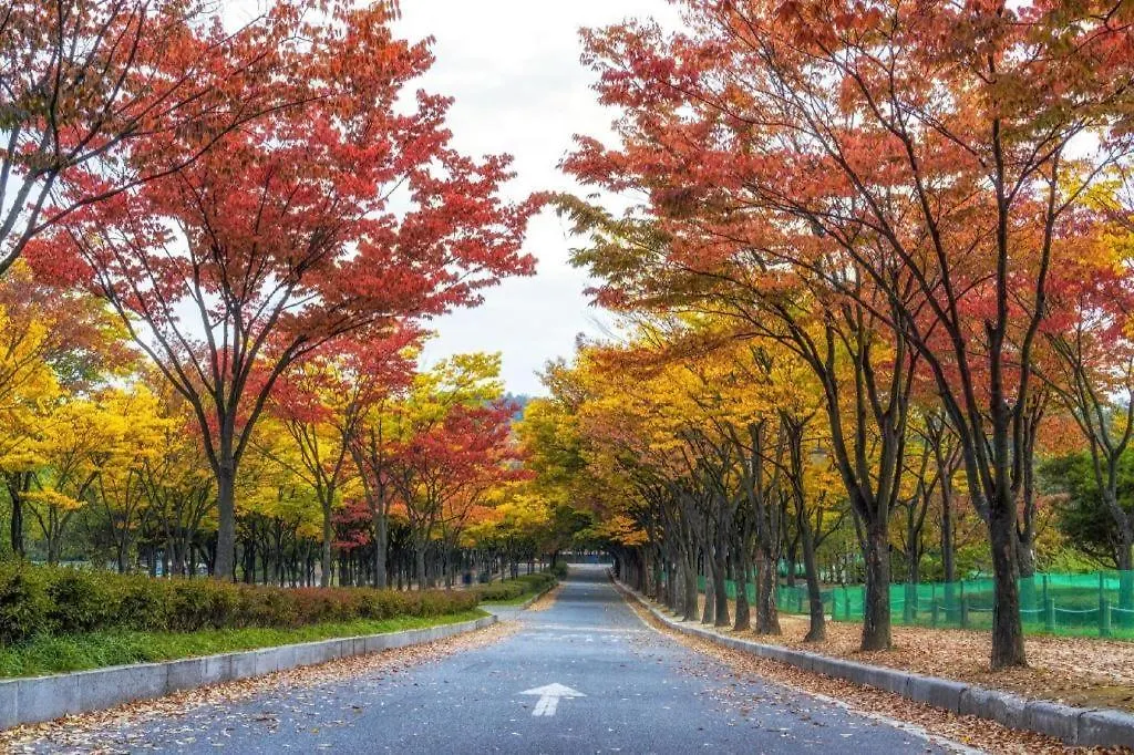 Bupyeong Shampoo Hotel Incheon South Korea
